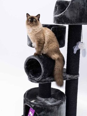 Klösträd Victoria 125