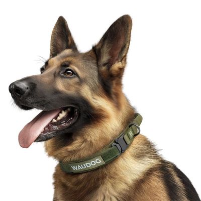 WAUDOG PRO Tactical Tjänstehundhalsband