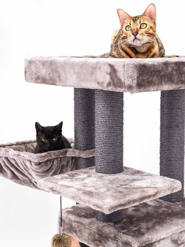 Klösträd Cleopatra 134