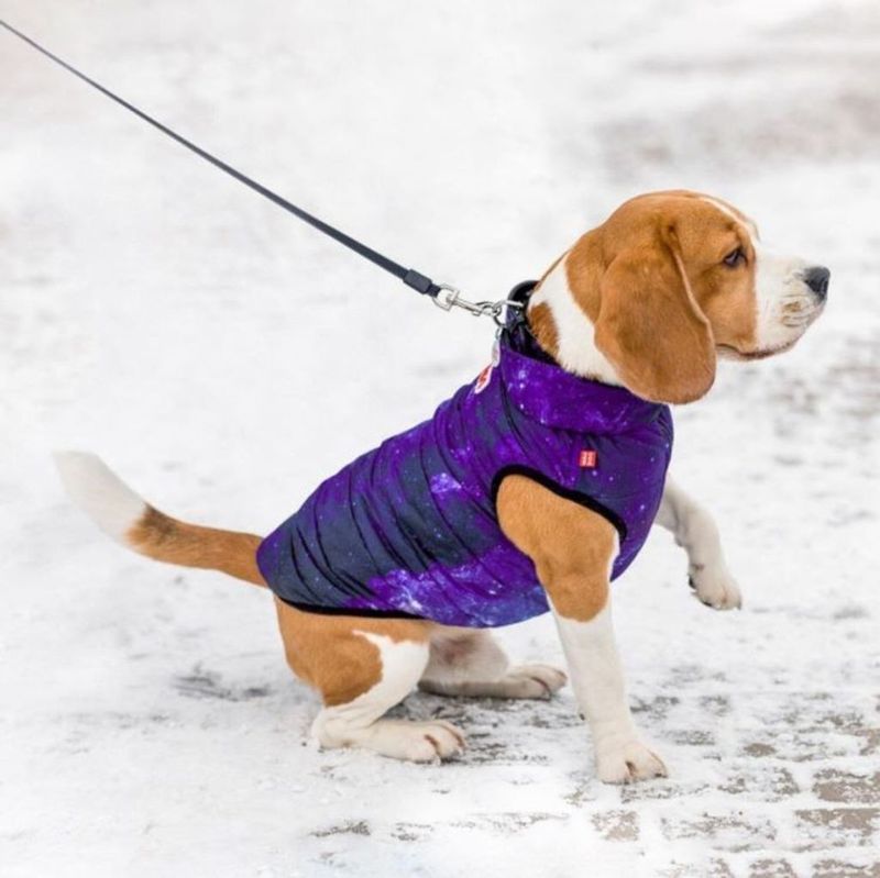WAUDOG Fodrad Hundjacka Nasa