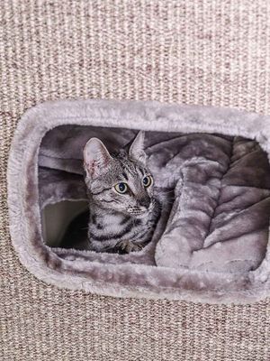 Klöstunna Vault 118