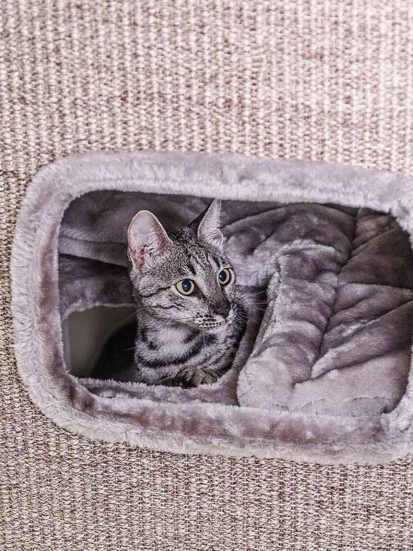 Klöstunna Vault 118