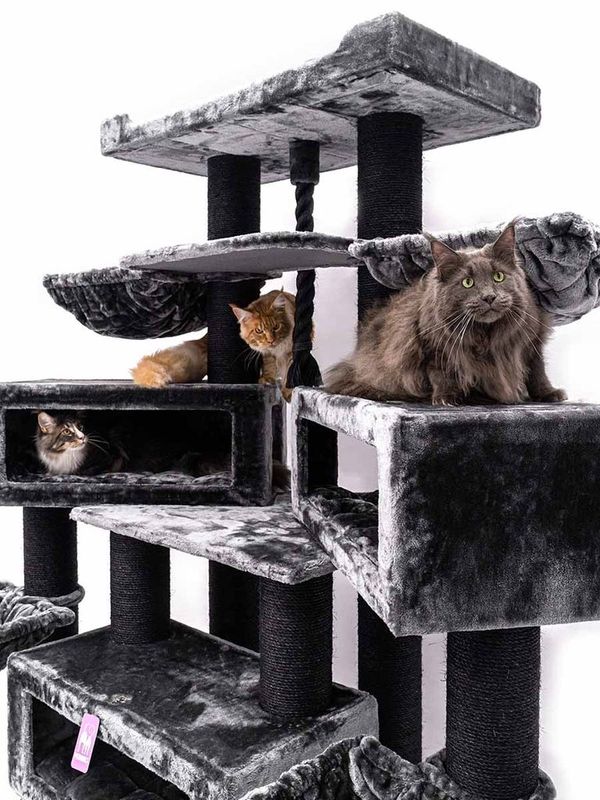 Klösträd Alley 200