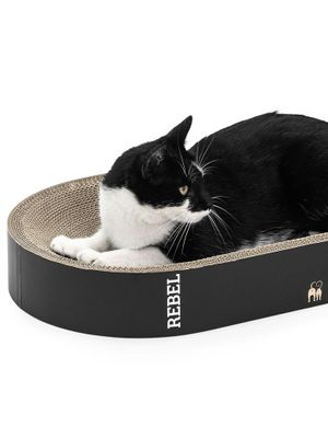 Klösbräda Papp Oliver 63