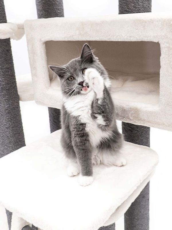 Klösträd Estate 170