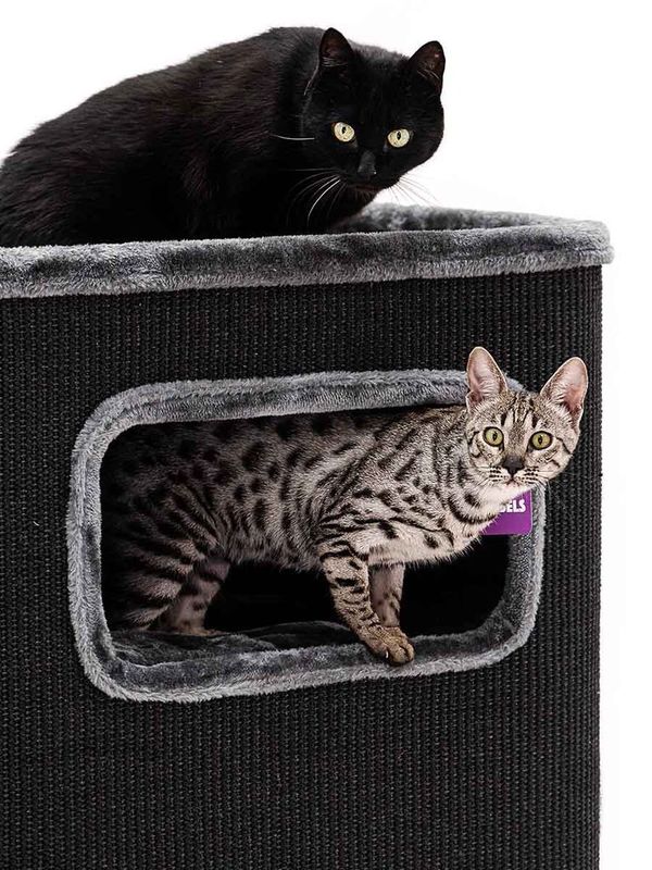 Klöstunna Vault 118