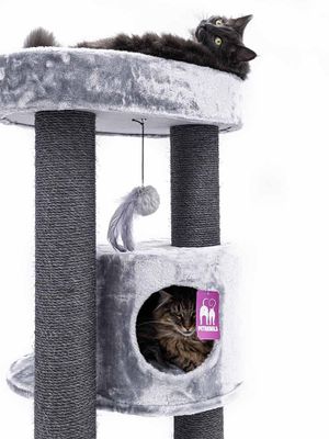 Klösträd Charlotte 180