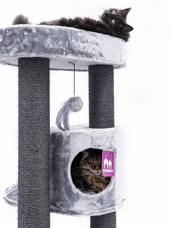 Klösträd Charlotte 180