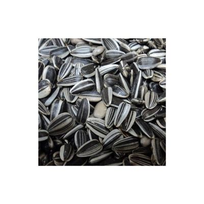 Oxéna Strimmiga solrosfrön 2kg