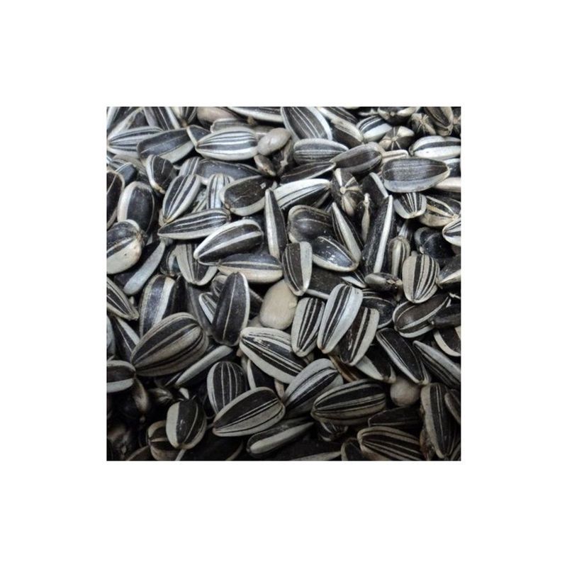 Oxéna Strimmiga solrosfrön 2kg