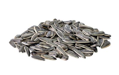 Strimmiga Solrosfrön 14 kg