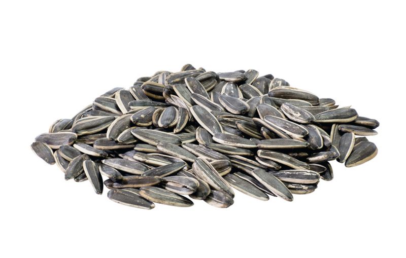 Strimmiga Solrosfrön 14 kg