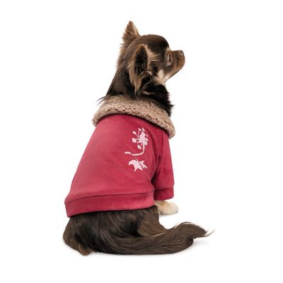 BuddyBoo Hundtröja Garcia