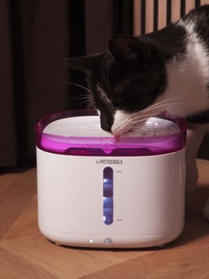 JET 19 Vattenfontän för katter 2l