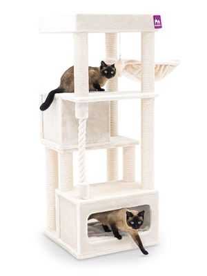 tenant-sync-dbywflZutwvlRCB1766488348