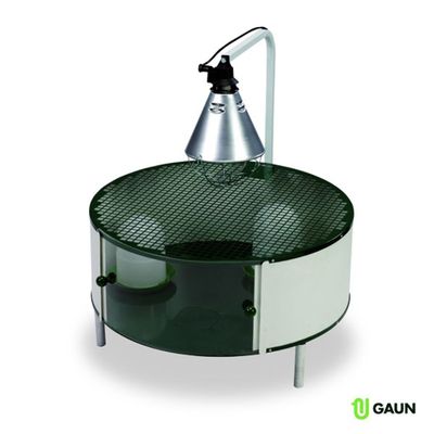 Komplett Inhysningssystem för kycklingar