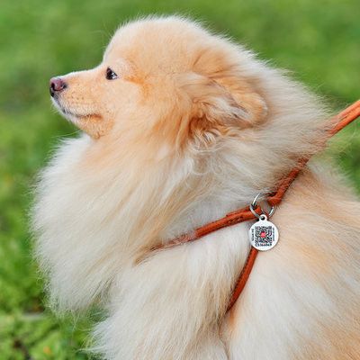 WAUDOG Soft Rundsytt Lädersele med Smart-ID Bricka