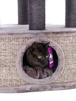 Klösträd Catharina 160