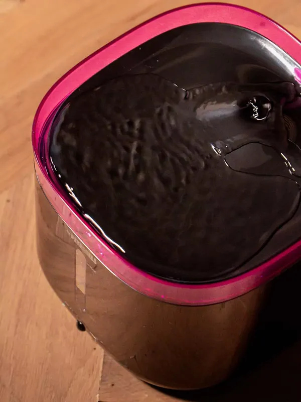 JET 19 Vattenfontän för katter 2l Black