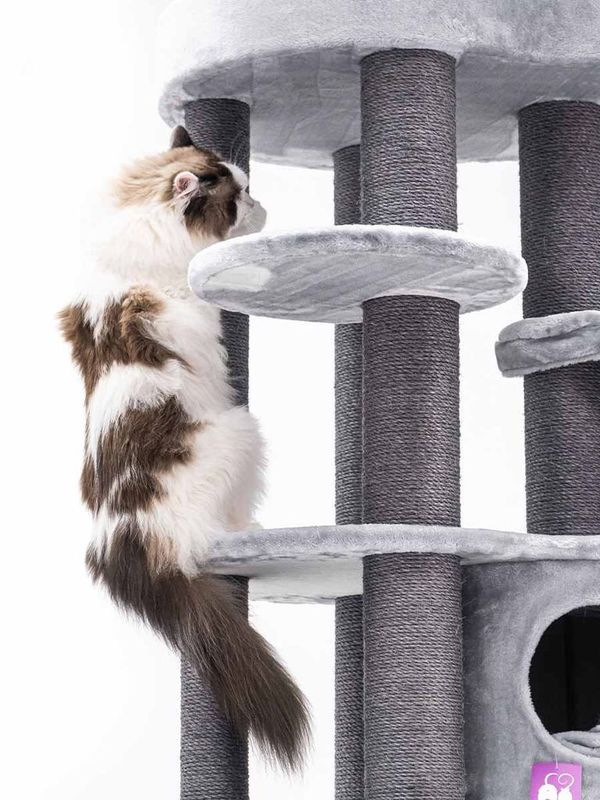 Klösträd Isabella 170