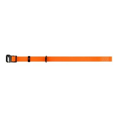 Evolutor Hundhalsband One Size 25mm 25-70cm (Orange)