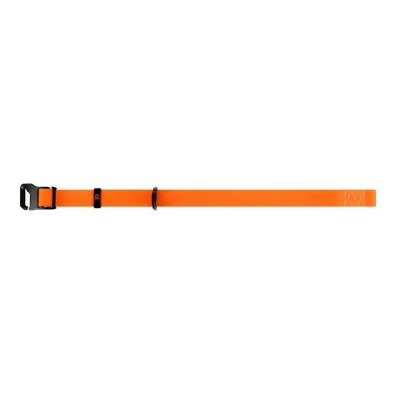 Evolutor Hundhalsband One Size 25mm 25-70cm (Orange)