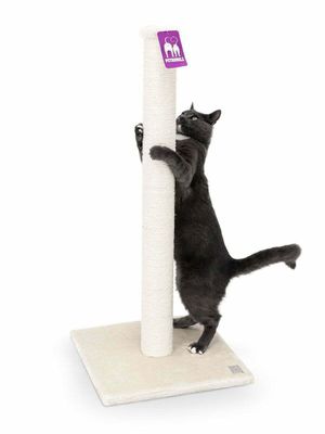 tenant-sync-k3hwmA8ssqS6H8m1767000195