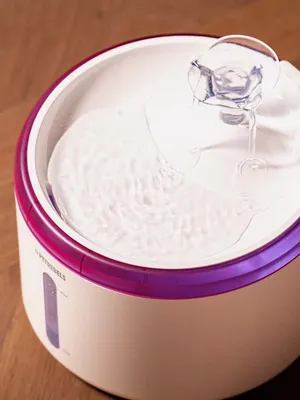 SPRING 20 Vattenfontän för katter 2,5l White