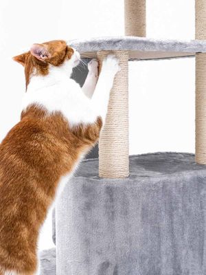 Klösträd Little Rock 99