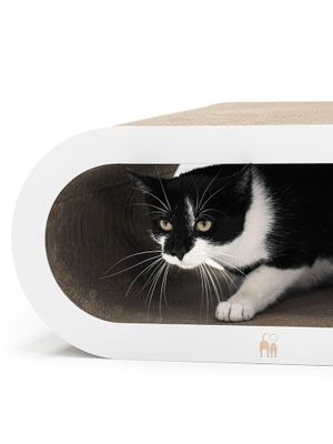 Klösbräda Papp Daisy 59