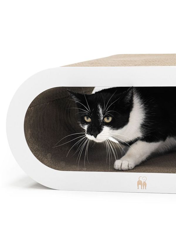 Klösbräda Papp Daisy 59