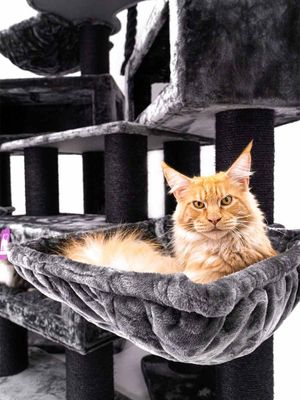 Klösträd Alley 200