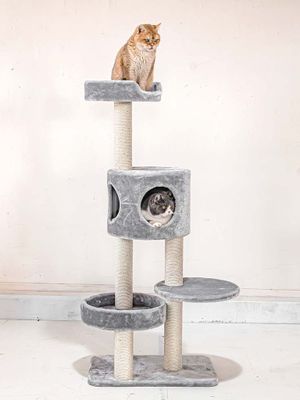 Klösträd Residence 142