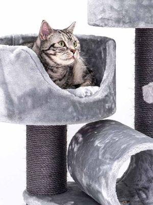 Klösträd Victoria 125