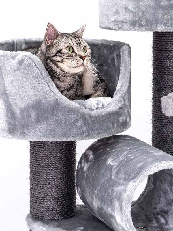 Klösträd Victoria 125