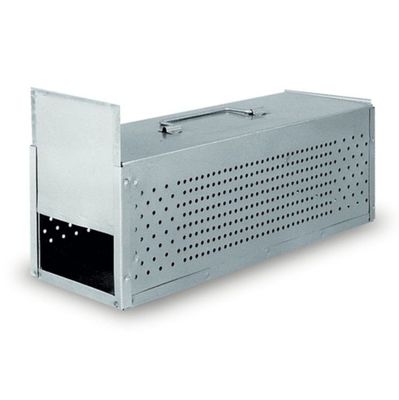 Transportbur för Duvor 2 fack