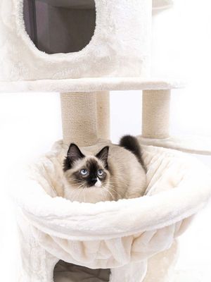 Klösträd Isabella 210