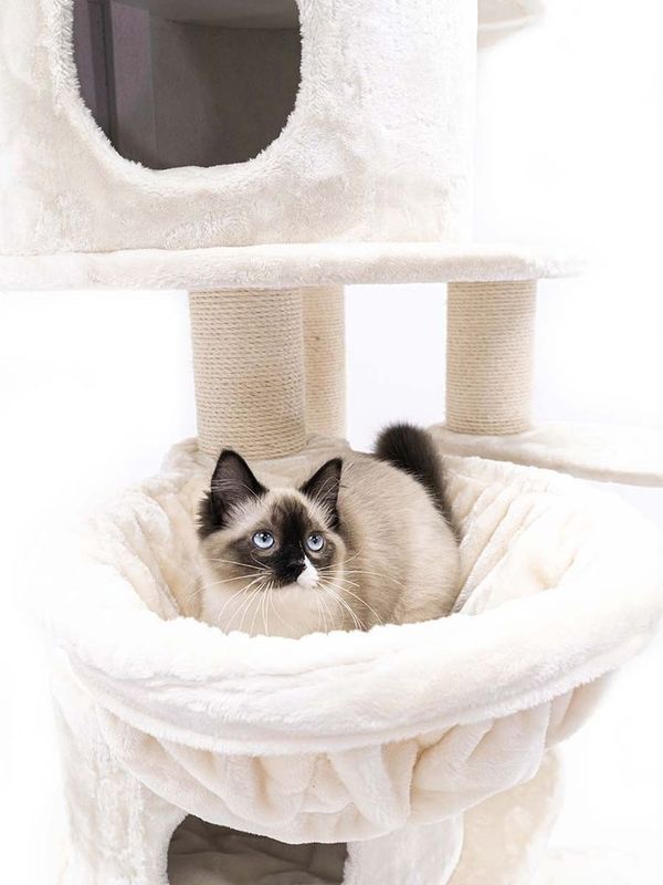 Klösträd Isabella 210