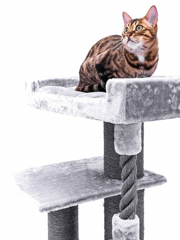 Klösträd Parklane 131