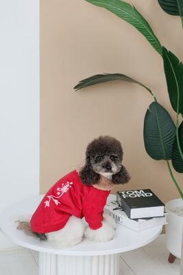 BuddyBoo Hundtröja Garcia