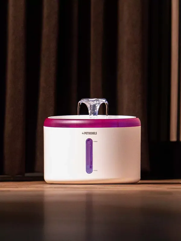 SPRING 20 Vattenfontän för katter 2,5l White