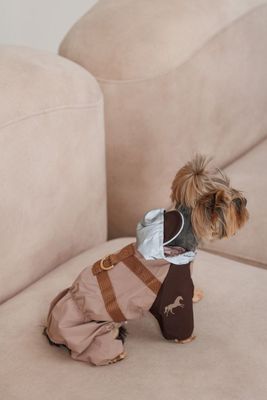 BuddyBoo Regntäcke Mustang