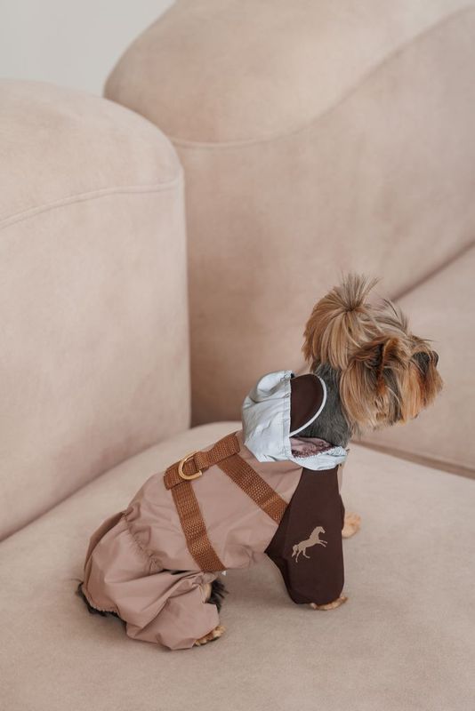 BuddyBoo Regntäcke Mustang