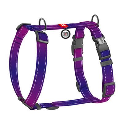 WAUDOG H-Sele Hund Mono Reflex Lila