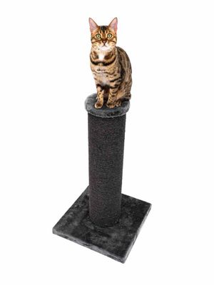 Klöspelare Savannah 86