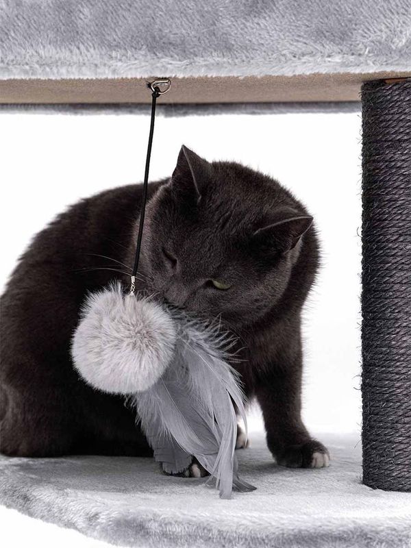 Klösträd Charlotte 134