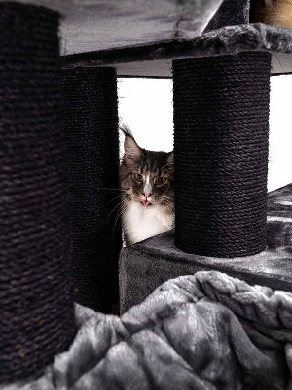 Klösträd Alley 200