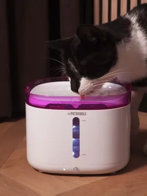 437131-Jet-29-video_still-3