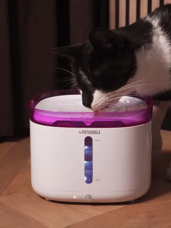 JET 19 Vattenfontän för katter 2l White