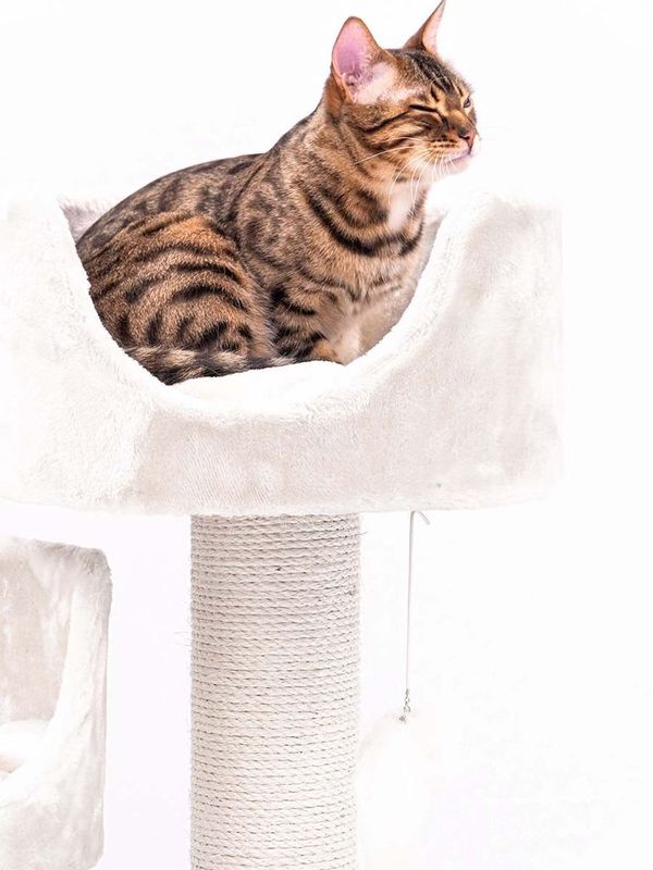 Klösträd Victoria 125